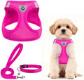 PUPTECK Dog Harness, Collar and Leash Set No Pull by PUPTECK