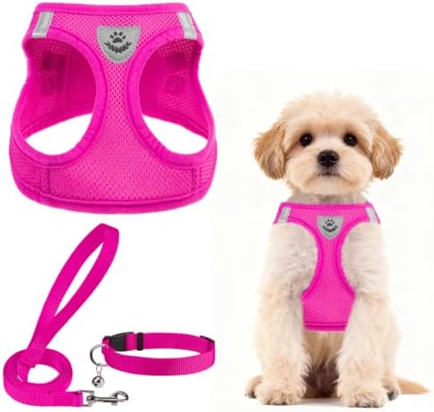 PUPTECK Dog Harness, Collar and Leash Set No Pull by PUPTECK