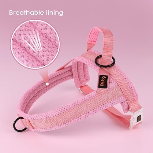 Didog No Pull Dog Harness with Breathable Mesh Padded, Quick Fit & Easy on Dog - Image 3