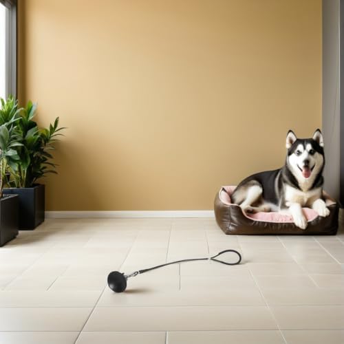 Dog Bathing Suction Cup Tether Adjustable Steel Wire Safety Rope - Image 6