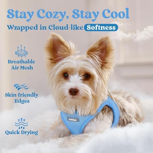 rabbitgoo Step-in Small Dog Harness, Puppy Vest - Image 2