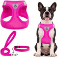 PUPTECK Dog Harness, Collar and Leash Set No Pull by PUPTECK
