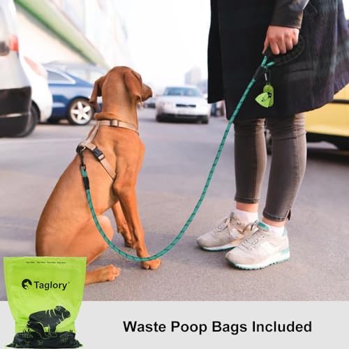 Taglory Rope Dog Leash for Small Medium Dogs, 5 FT Padded Handle - Image 2