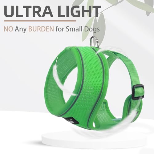 PUPTECK Small Dog Harness and Leash Set No Pull - Image 5