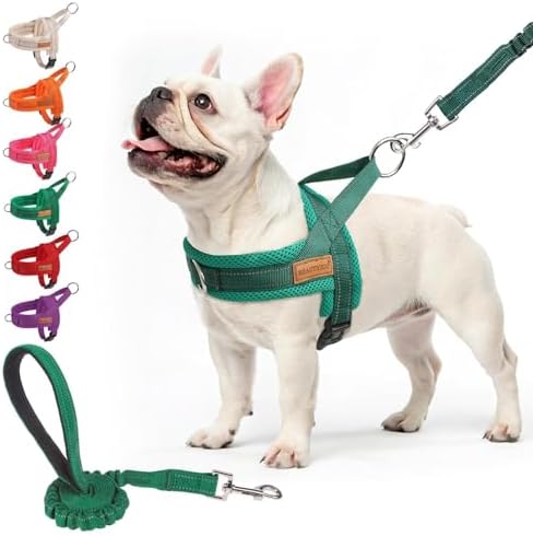 BEAUTYZOO Dog Harness Medium Sized and Leash Set, No Pull Step in Pet Vest by BEAUTYZOO