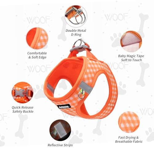 AIITLE Step in Small Dog Harness and Leash Set, Puppy Pet Vest - Image 4