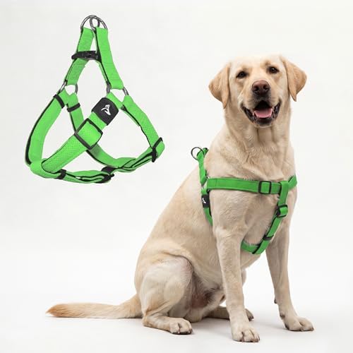 Kruz No Pull Dog Harness Heavy-Duty Pet Harness by KRUZPET