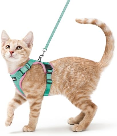 rabbitgoo Cat Harness and Leash Set, Escape Proof Vest by rabbitgoo