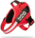 Custom No Pull Dog Harness by PawPawify