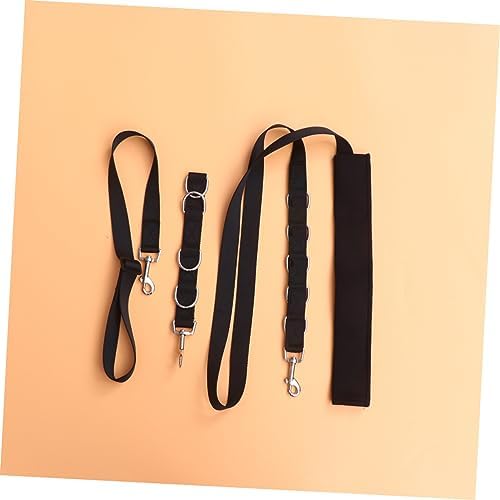 Adjustable Pet Grooming Rope for Bathing and Beauty Fixed Design for Safe Use - Image 4