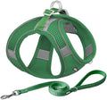 AIITLE Medium Dog Harness and Leash Set, Step-in Puppy Pet Vest by AIITLE-FORPETSBETTERLIFE