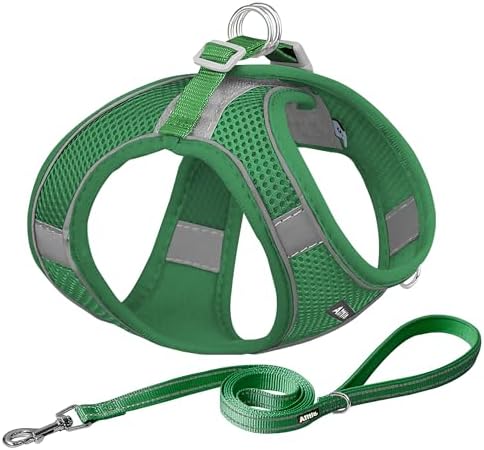 AIITLE Medium Dog Harness and Leash Set, Step-in Puppy Pet Vest by AIITLE-FORPETSBETTERLIFE