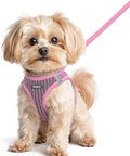 Eagloo Small Dog Harness and Leash Set, Step in Small Sized Puppy Pet Vest by GoExplorewithEagloo