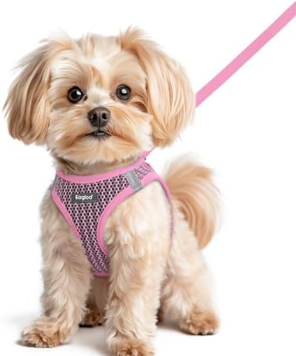 Eagloo Small Dog Harness and Leash Set, Step in Small Sized Puppy Pet Vest by GoExplorewithEagloo