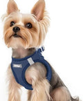 rabbitgoo Step-in Small Dog Harness, Puppy Vest by rabbitgoo