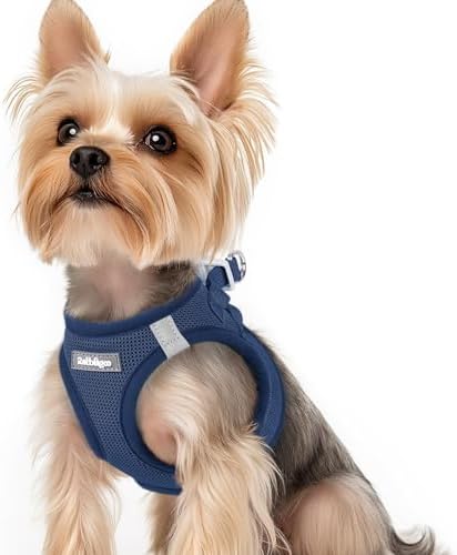 rabbitgoo Step-in Small Dog Harness, Puppy Vest by rabbitgoo
