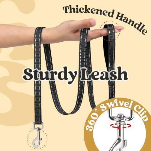 rabbitgoo Dog Harness Small Sized and Leash Set, Step in Soft Vest - Image 4