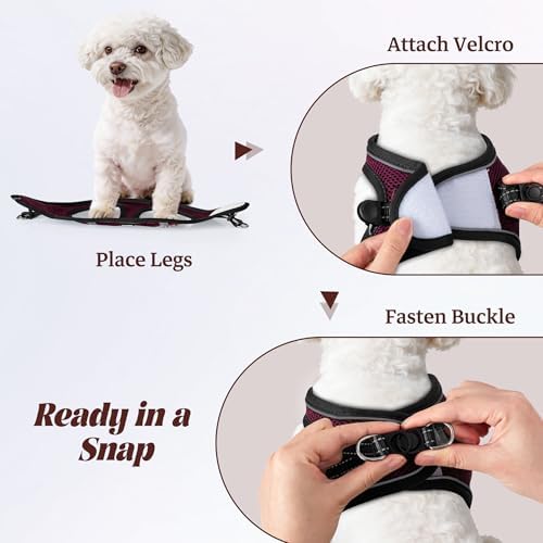 No Pull Dog Puppy Harness and Leash Set Reflective Mesh Vest Small - Image 4