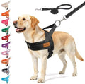 BEAUTYZOO Dog Harness for Large Dogs, No Pull Step in Pet Vest and Leash Set by BEAUTYZOO