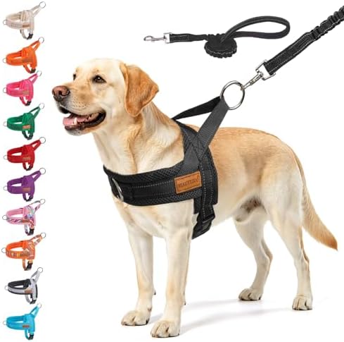 BEAUTYZOO Dog Harness for Large Dogs, No Pull Step in Pet Vest and Leash Set by BEAUTYZOO