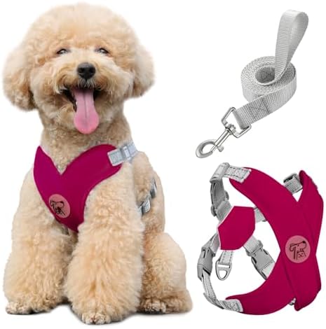 Pawaboo Small Dog Harness and Leash Set, Puppy Harness X-Frame Adjustable by Pawaboo