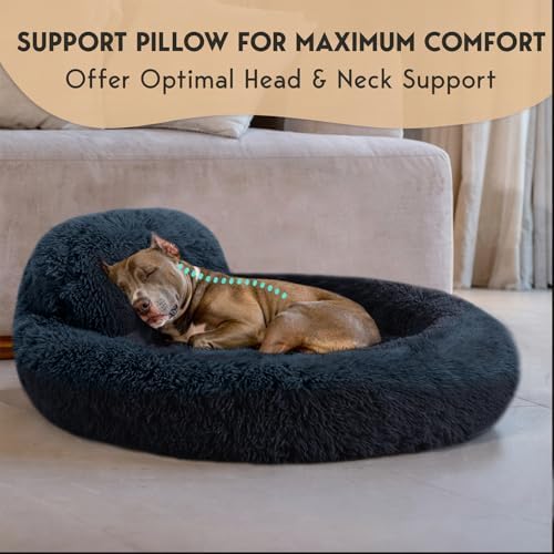 PetJett Dog Beds Large Sized Dog - Image 2