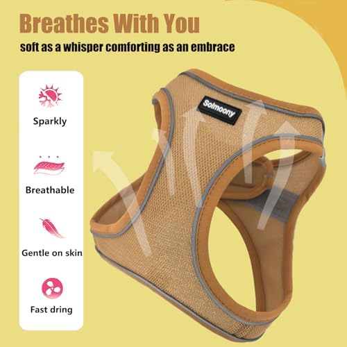 Solmoony Sparkly XS Dog Harness and Leash Set, Step in Soft Light Puppy Vest - Image 5