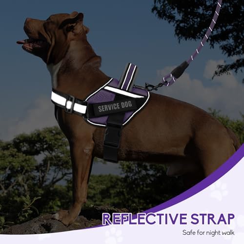 Service Dog Harness and Leash Set, - Image 5