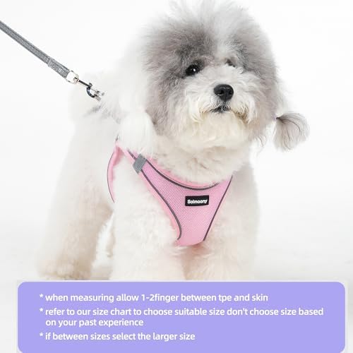 Solmoony Sparkly XS Dog Harness and Leash Set, Step in Soft Light Puppy Vest - Image 2