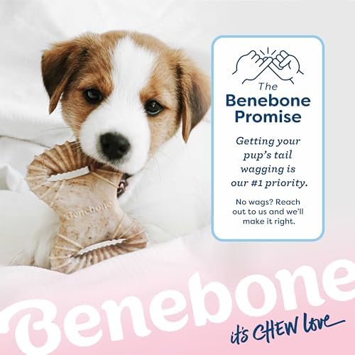 Benebone Puppy 2-Pack Dental/Wishbone Dog Chew Toys, Real Chicken - Image 6