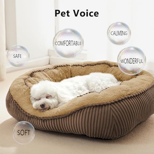 Washable Dog Bed Medium Size Dogs, Orthopedic Pet Bed - Image 2