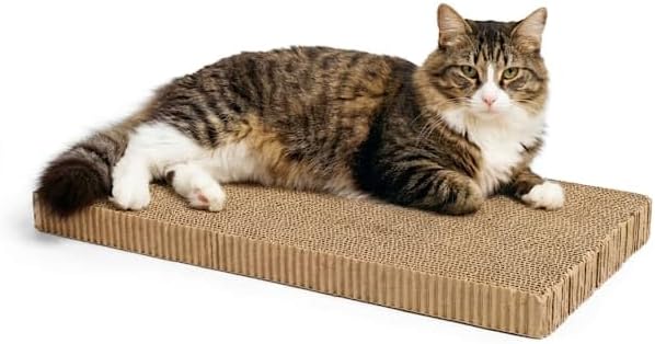 EveryYay by Petco Scratchin' the Surface Double-Wide Cardboard Refills - Image 6