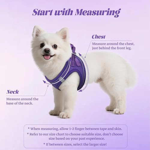 No Pull Dog Puppy Harness and Leash Set Reflective Mesh Vest Large - Image 2