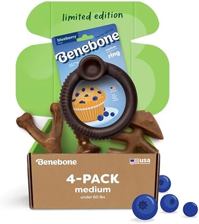 Benebone Blueberry Medium 4-Pack Dog Toys, Under 60 lbs by Benebone