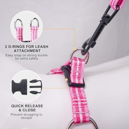 BEAUTYZOO Dog Harness Small Sized Dog Girl, No Pull Dog Harness and Leash Set - Image 2