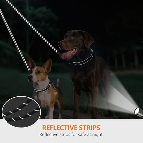 Taglory Double Dog Leash Coupler - Image 4
