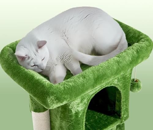 Yaheetech 23.5in Small Low-Profile Cat Tree Condo - Image 5