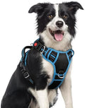 rabbitgoo Dog Harness Medium Sized, No Pull 3 Buckles Easy On & Off by rabbitgoo