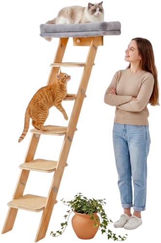 65" Tall 6-Level cat Ladder for Window Perch I Wobble-Free Gentle Climbing to a by SERENHOOM