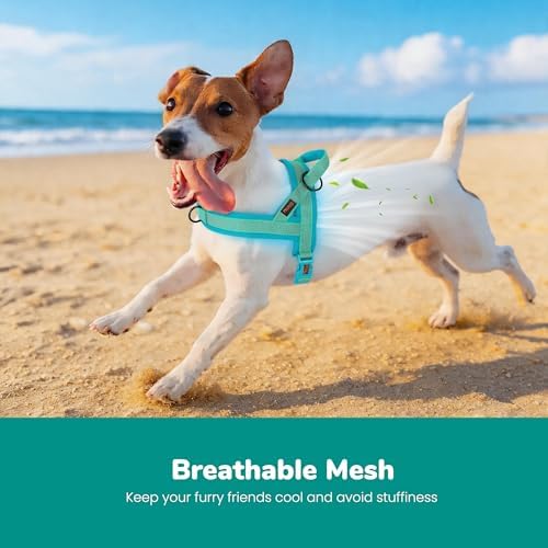 Didog No Pull Dog Harness for Small Dogs, Breathable Mesh Padded - Image 2