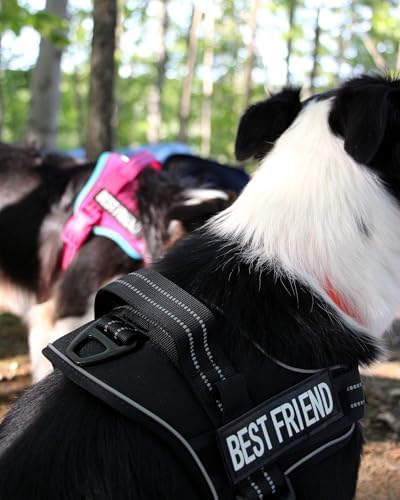 AUROTH Dog Harness for Large Dogs No Pull Tactical Harness and Leash Set - Image 2