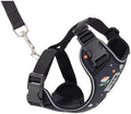 RC Pets Adventure Kitty Cat Harness | Adjustable Airmesh Vest by RCPets