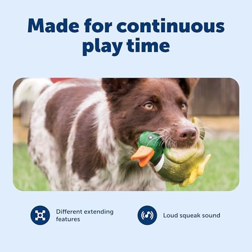 PetSafe Animal Squeak Dog Toy - Image 4
