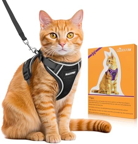 Cat Harness and Leash Set, Escape Proof Kitten Harness by DOMoreWithYourPet
