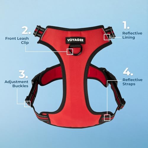 Voyager Dual Attachment No Pull Harness - Image 3