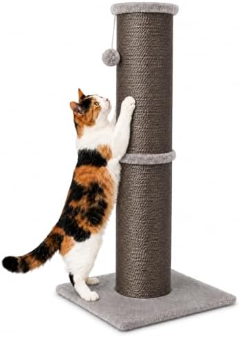 PAWSCRAT 32-Inch Tall Cat Scratching Post, 5.5-Inch Diameter by PAWSCRAT