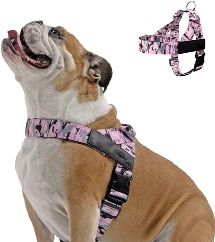 Dog Friendly Co. Dog Harness for Medium Dogs by DogFriendly