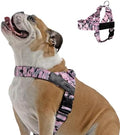 Dog Friendly Co. Dog Harness for Medium Dogs by DogFriendly