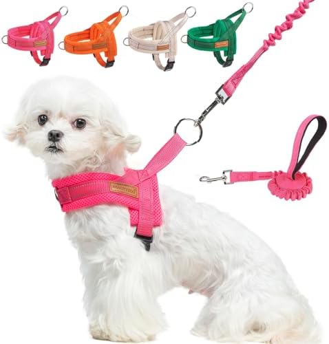 BEAUTYZOO Small Dog Harness and Leash Set, No Pull Step in Puppy Vest by BEAUTYZOO