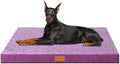 Patas Lague Orthopedic Large Dog Bed Pet Crate Mat 56''X40'' Purple by PatasLague